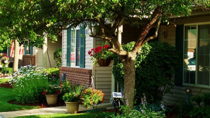 Oak Tree Village