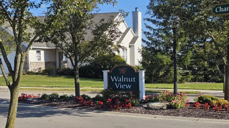 Walnut View